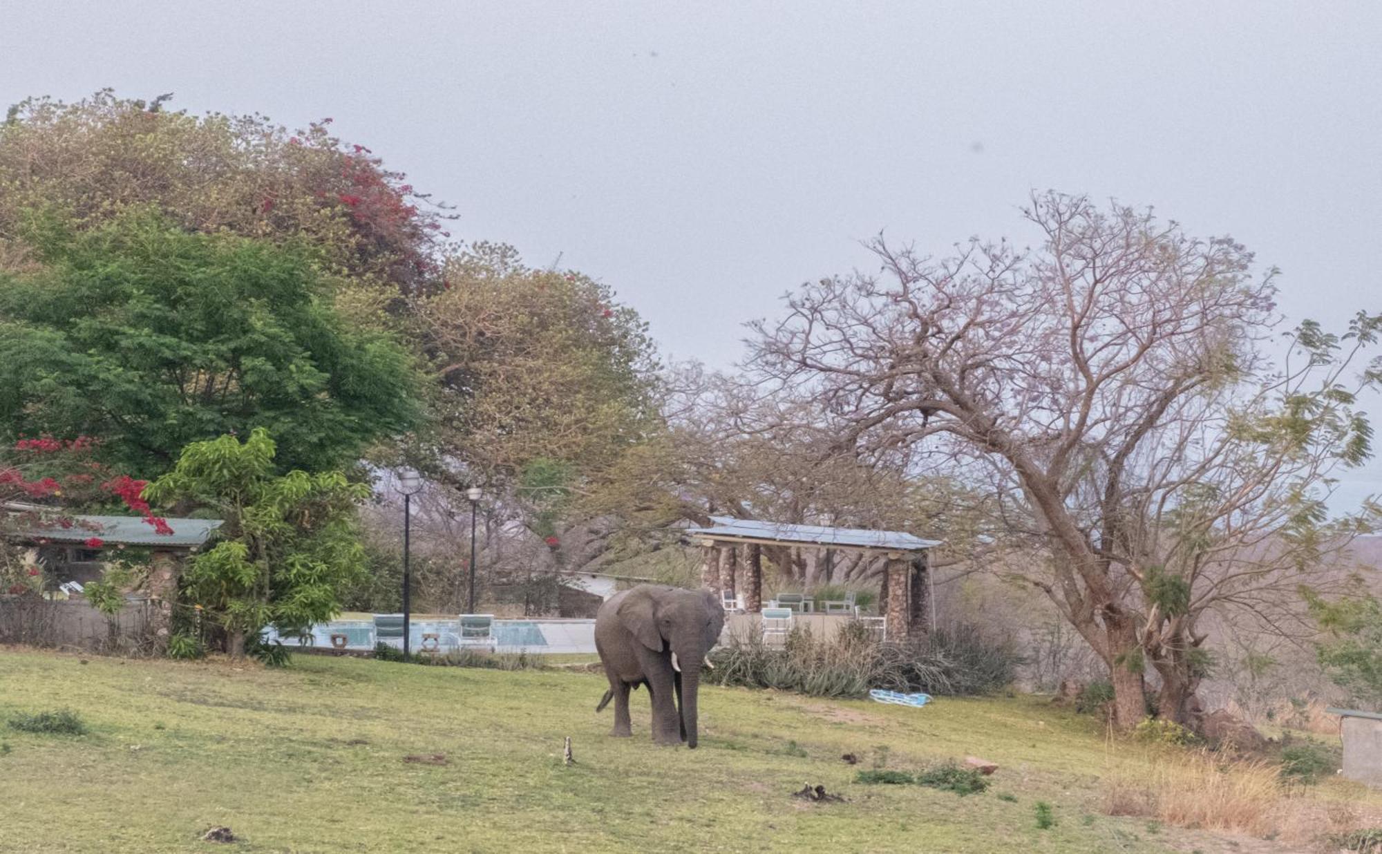 Musungwa Safari Lodge Shanjungu Exterior photo